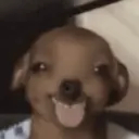 స్టికర్