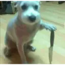 స్టికర్