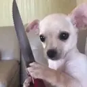 স্টিকার