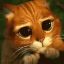 Կպչուն պիտակ