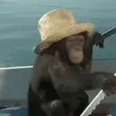 Կպչուն պիտակ