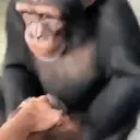 Կպչուն պիտակ