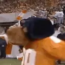 Կպչուն պիտակ