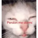 Կպչուն պիտակ