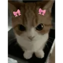 Կպչուն պիտակ