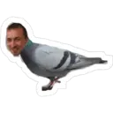 స్టికర్