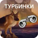 ස්ටිකර්