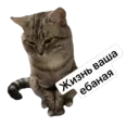 สติกเกอร์