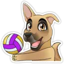 sticker