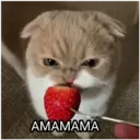 স্টিকার