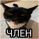 স্টিকার