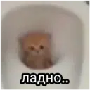 স্টিকার