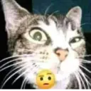 ස්ටිකර්