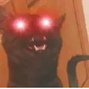 ස්ටිකර්