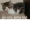 ස්ටිකර්