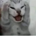 ස්ටිකර්