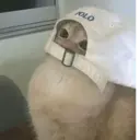 ස්ටිකර්