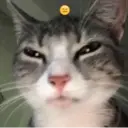 ස්ටිකර්