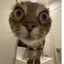 ස්ටිකර්