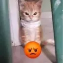 ස්ටිකර්