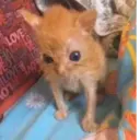 ස්ටිකර්