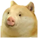 స్టికర్