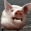 స్టికర్