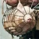 స్టికర్