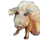 స్టికర్