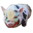 స్టికర్