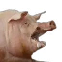 స్టికర్