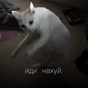 స్టికర్