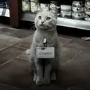 స్టికర్