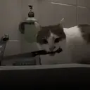 స్టికర్