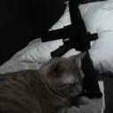 స్టికర్