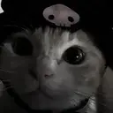 స్టికర్