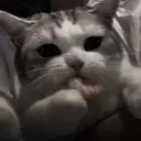 స్టికర్