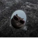 స్టికర్