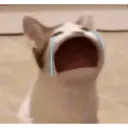 ස්ටිකර්