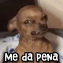 ස්ටිකර්