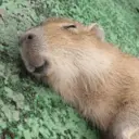 สติกเกอร์