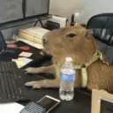 สติกเกอร์