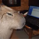 สติกเกอร์