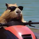 สติกเกอร์