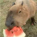 สติกเกอร์