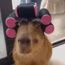 สติกเกอร์