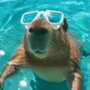 สติกเกอร์