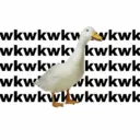 স্টিকার