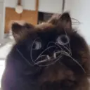 ස්ටිකර්