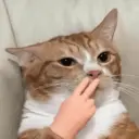 ස්ටිකර්